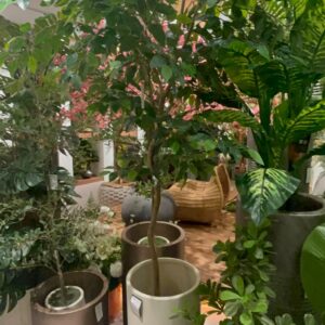 Artificial Plants & Flowers
