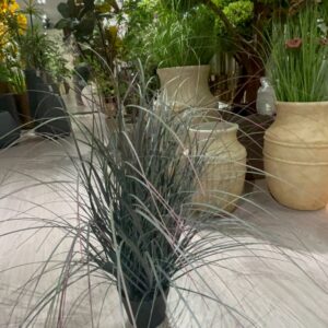 Fine-Leaf Decorative Grass, showroom design reference 1 for GAZLL wholesale decorative greenery and floral sourcing