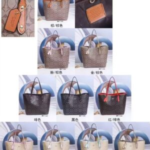 Tote Handbag Colour and Detail Guide